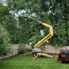 Best Lawn Irrigation Installation and Maintenance  in Elizabethton, TN